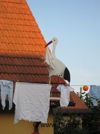 FFRoden